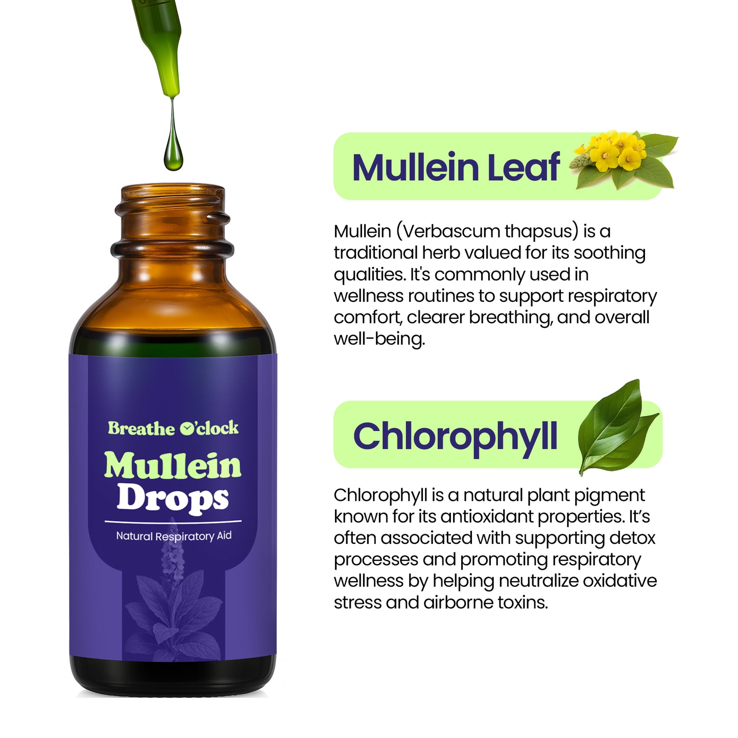 Mullein Herbal Drops with Chlorophyll – Traditional Respiratory Support (60mL)