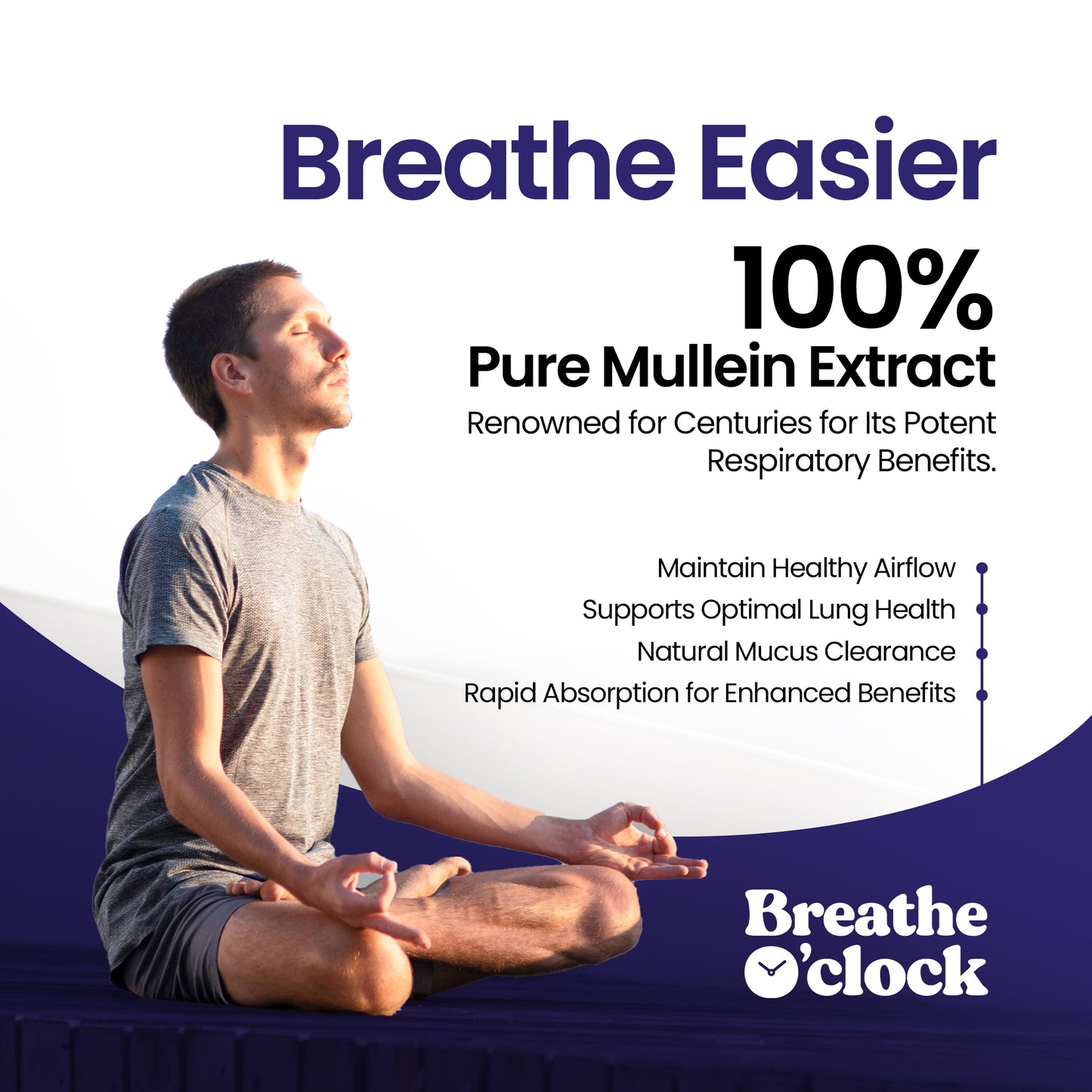Lung Repair Mullein Tincture Drops
