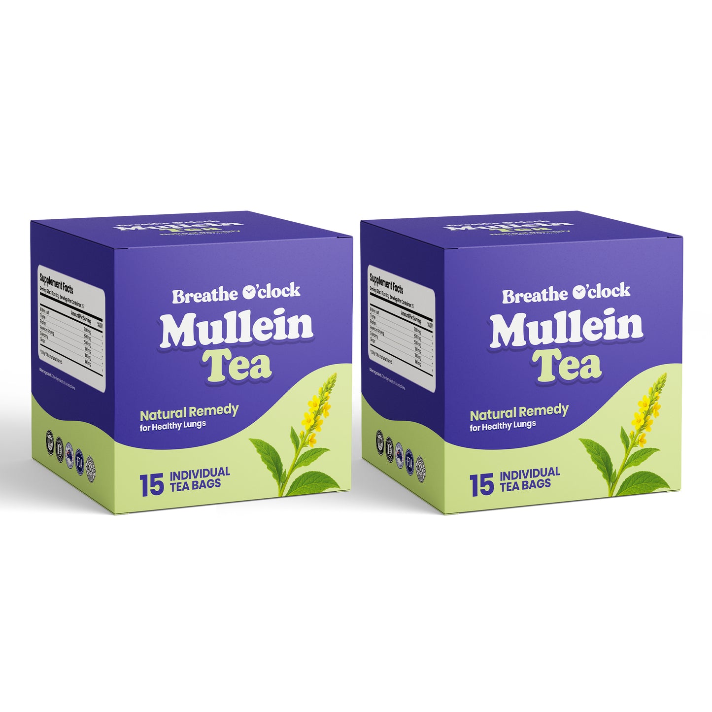 Mullein Tea