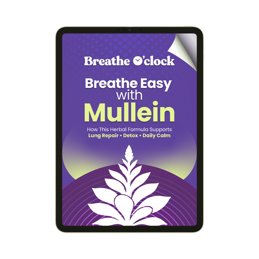 Breathe Easy With Mullein