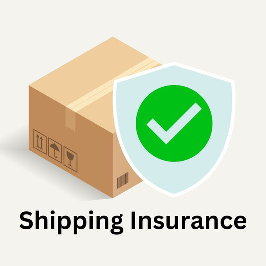 Insurance (Recommended)